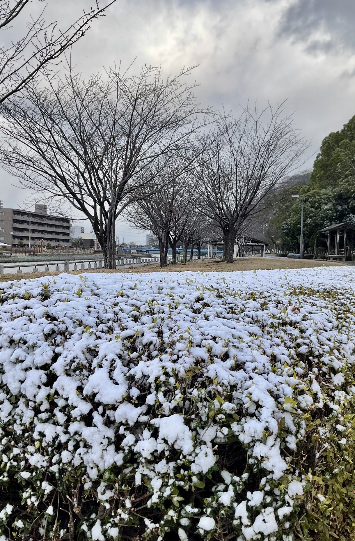 １５時半ごろの徳島中央公園
